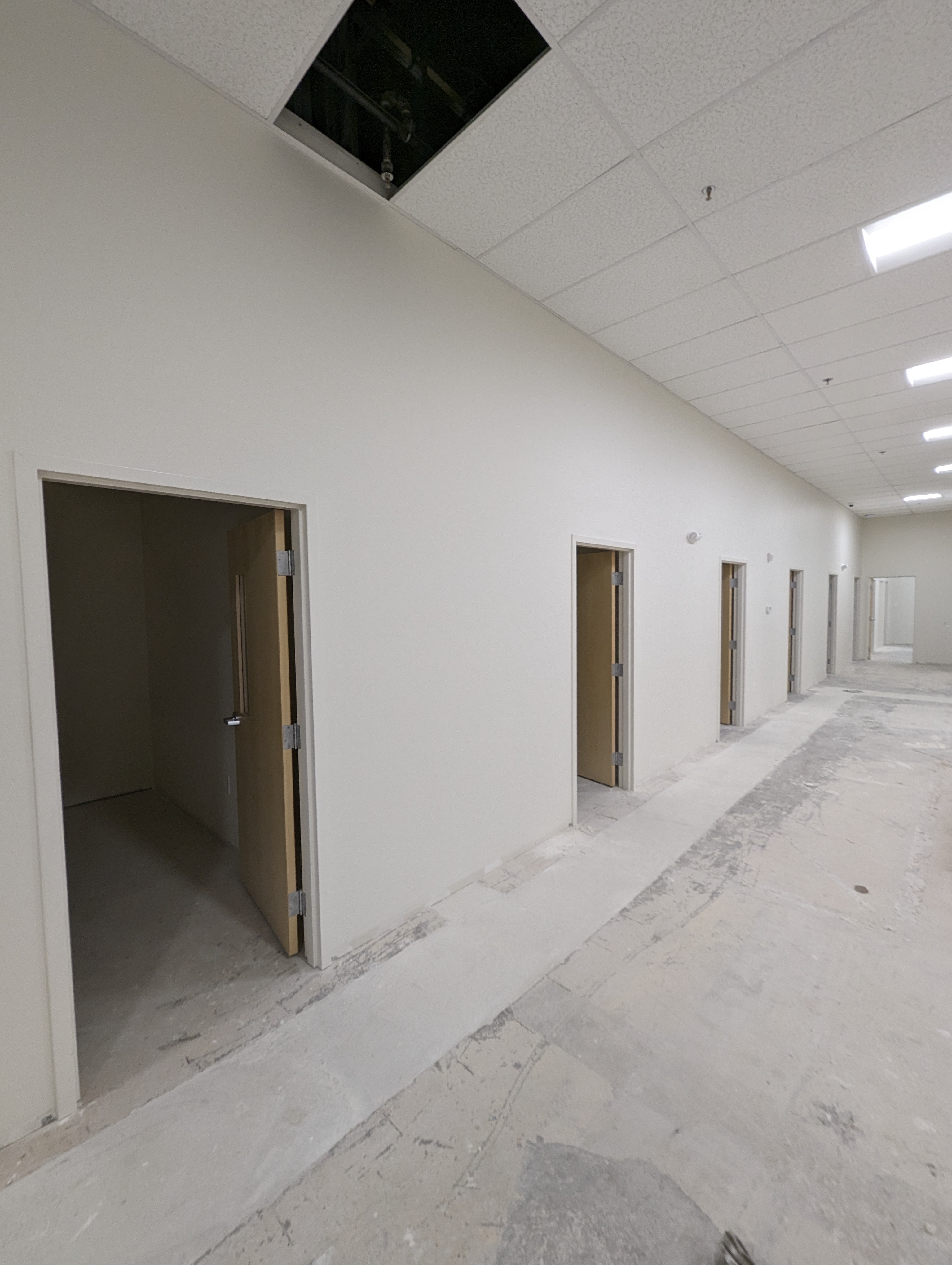 Pets - langhorne-pets-furst